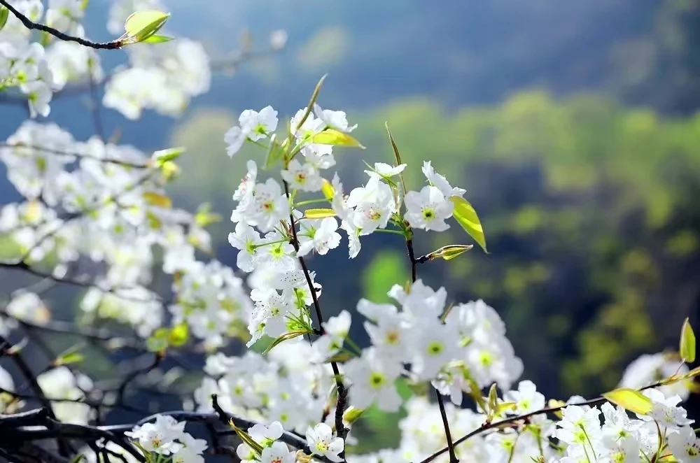 太行大峡谷+红旗渠 两日